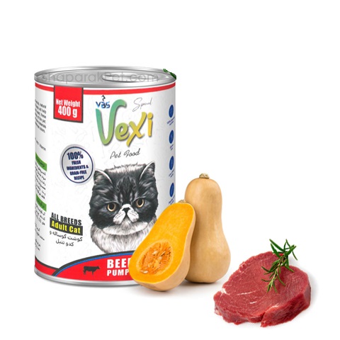 vexi-cat4
